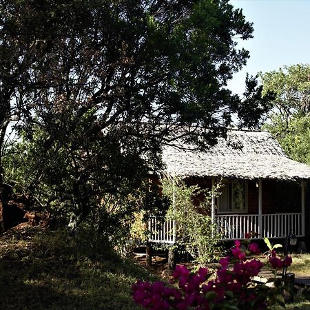 Jambo Mara Safari Lodge Ololaimutiek Ngoại thất bức ảnh