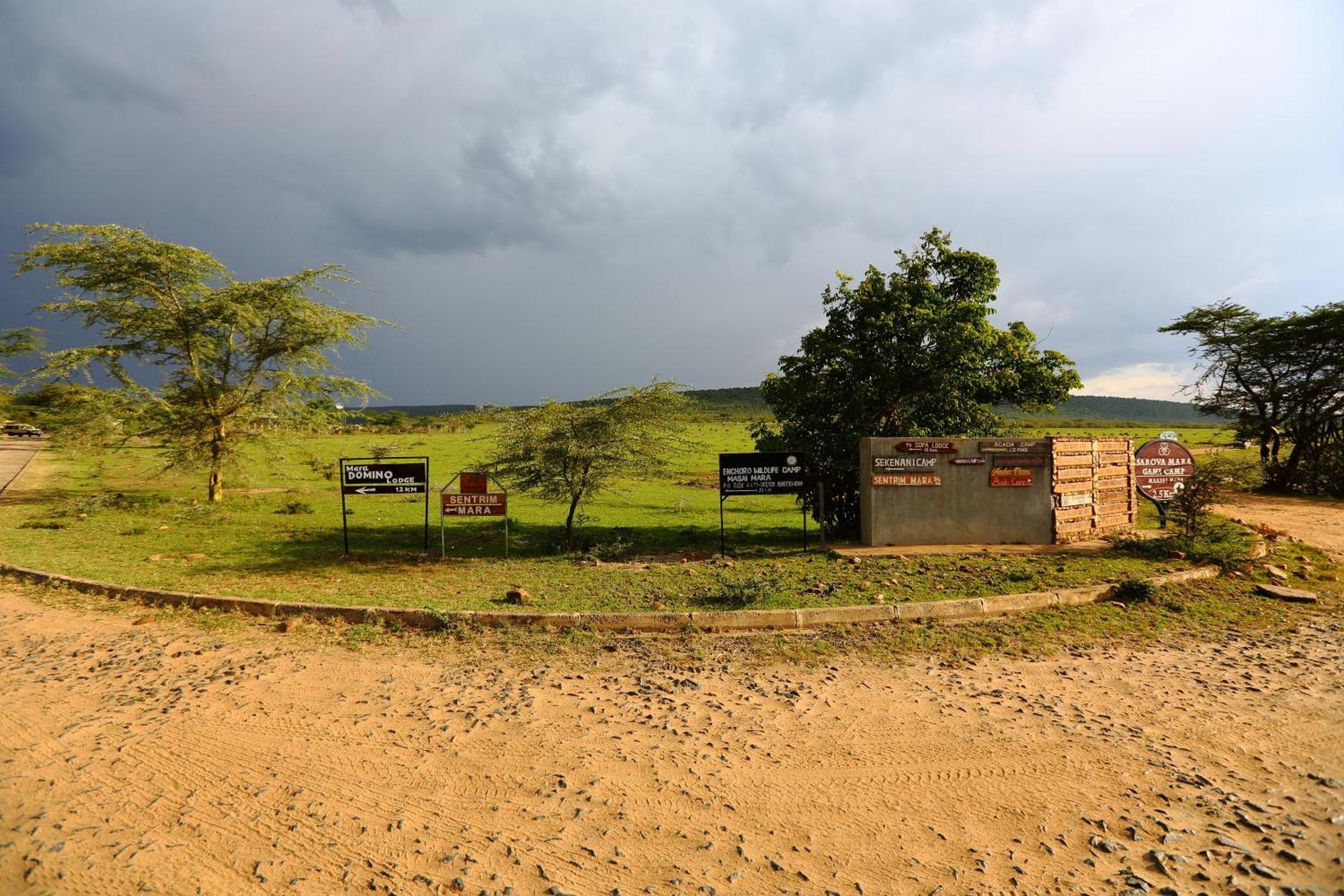 Jambo Mara Safari Lodge Ololaimutiek Phòng bức ảnh