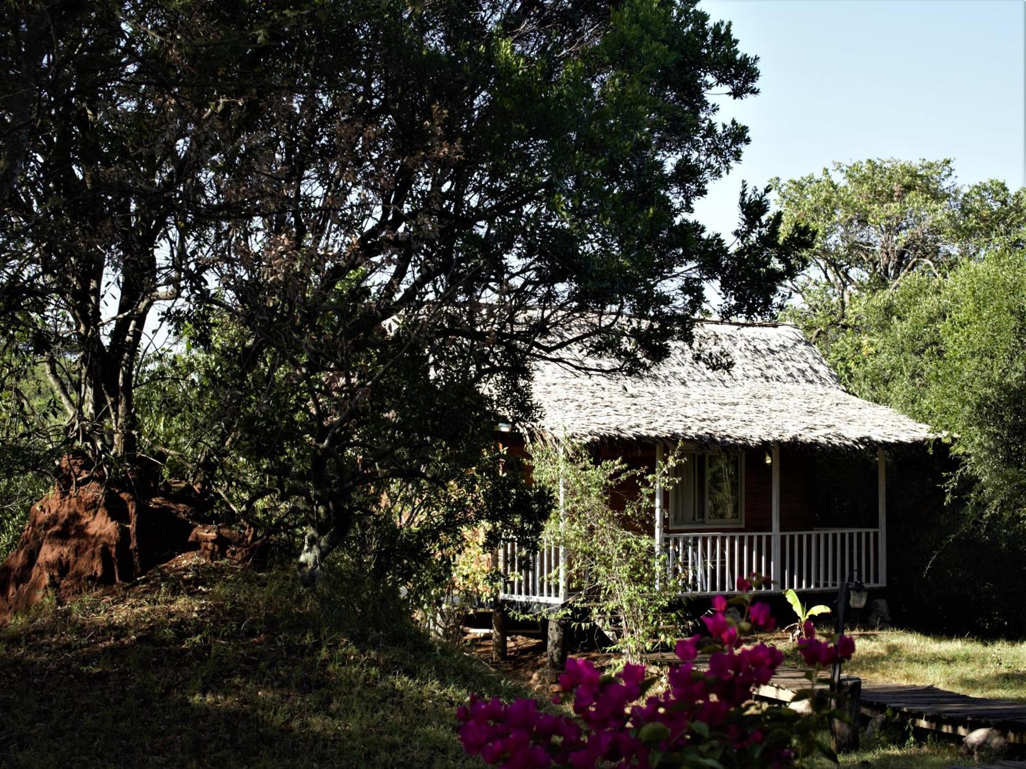 Jambo Mara Safari Lodge Ololaimutiek Ngoại thất bức ảnh