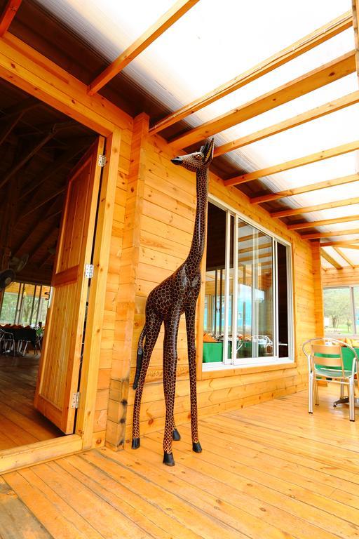 Jambo Mara Safari Lodge Ololaimutiek Phòng bức ảnh