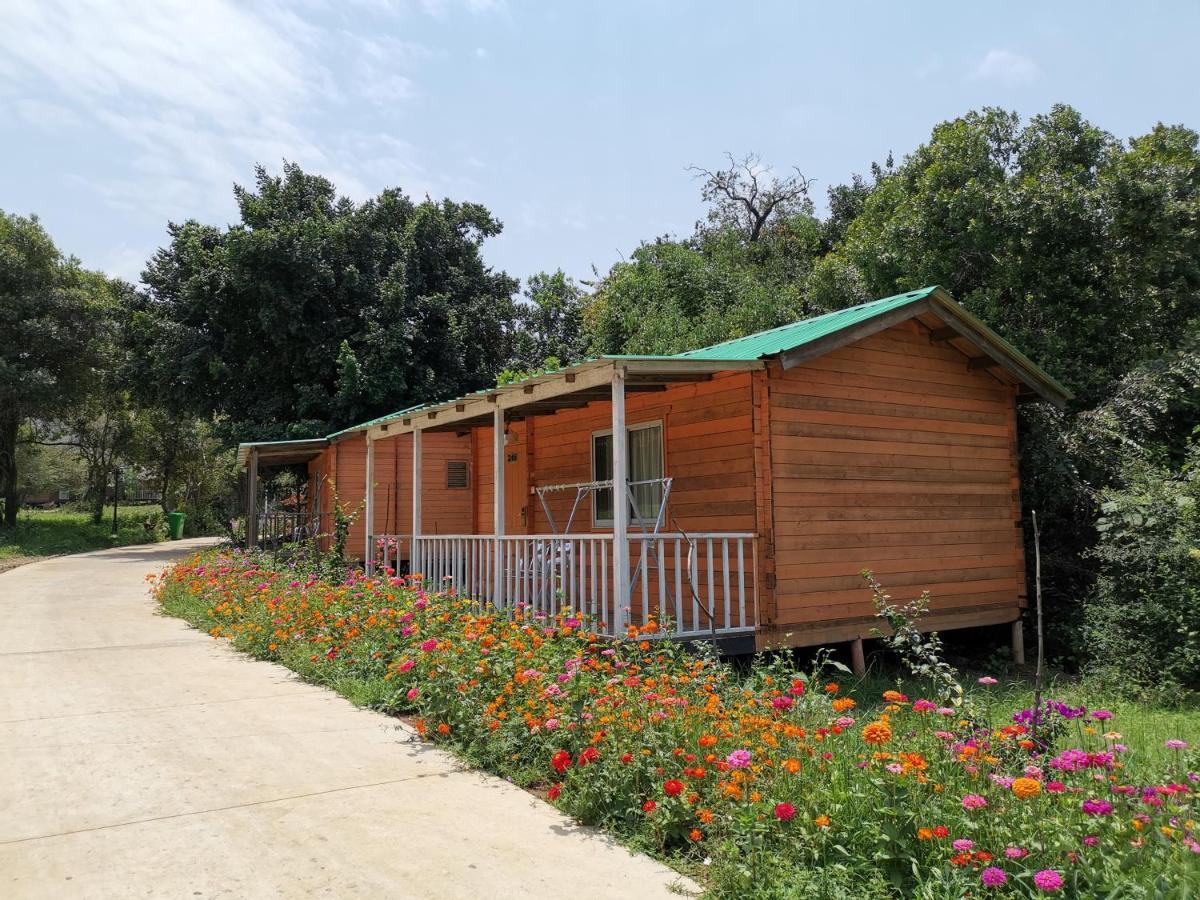 Jambo Mara Safari Lodge Ololaimutiek Ngoại thất bức ảnh